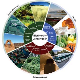Environmental Sustainability And CSR Role In Bringing About A Reversal In Degradation Of The Environment