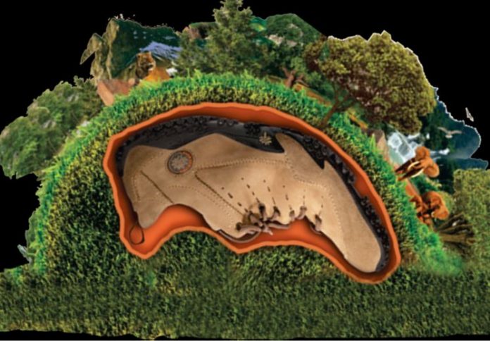 Woodland5