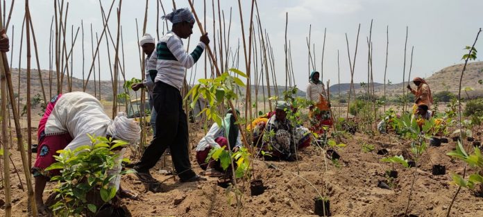 Sony Pictures Networks joins hands with SayTrees for a greener planet1