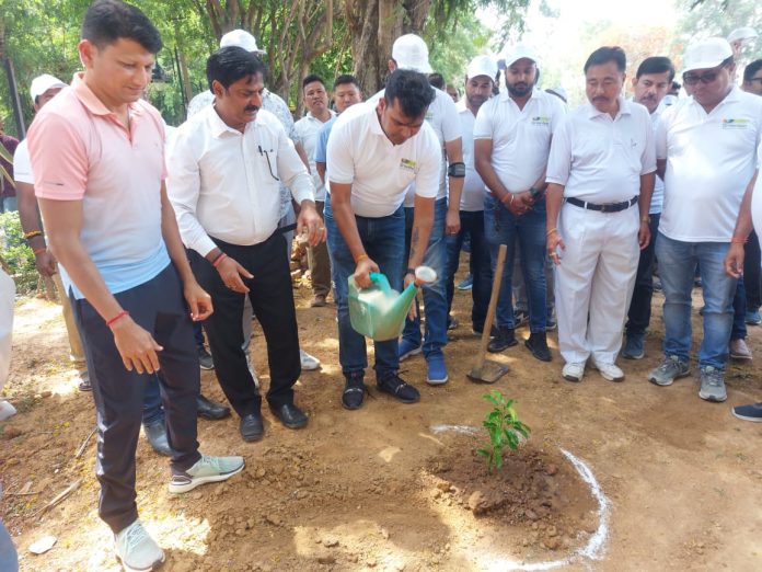 Greenlam press release on environment day - 5th June1