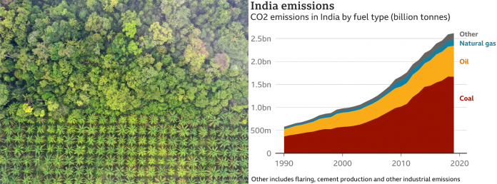 India’s green cover spreads across 81 million hectares6