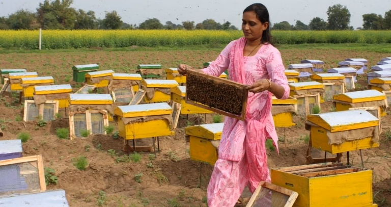 Livelihood and Entrepreneurial Opportunities Through Bee Keeping 