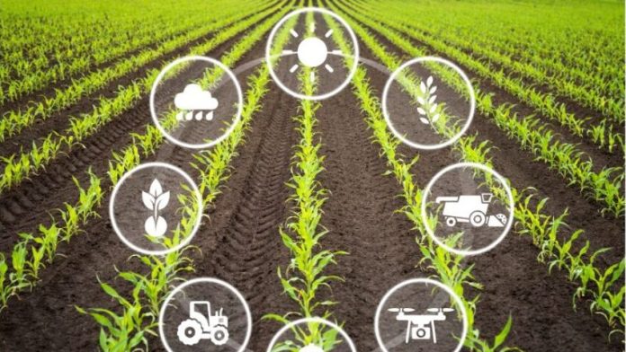 SAEL conducts awareness drive on Climate-Smart Agricultural Practices for farmers in Punjab, Haryana and Rajasthan3