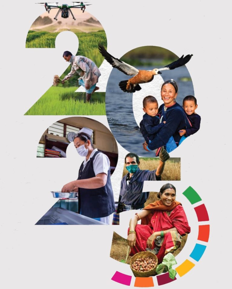 UNDP India Launches Its Annual Report: The India-UNDP Partnerships 2025